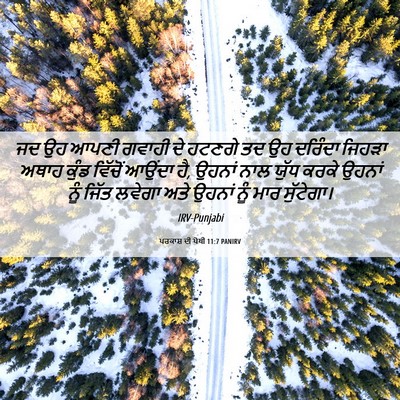 Picture 06 - ਪਰਕਾਸ਼ ਦੀ ਪੋਥੀ 11:7 PANIRV - ਜਦ ਉਹ ਆਪਣੀ ਗਵਾਹੀ ਦੇ - Bible Verse Picture