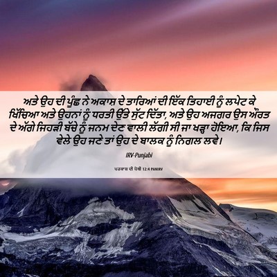 Picture 06 - ਪਰਕਾਸ਼ ਦੀ ਪੋਥੀ 12:4 PANIRV - ਅਤੇ ਉਹ ਦੀ ਪੂੰਛ ਨੇ - Bible Verse Picture