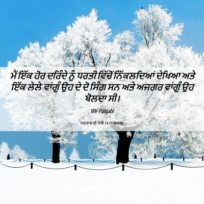 Picture 06 - ਪਰਕਾਸ਼ ਦੀ ਪੋਥੀ 13:11 PANIRV - ਮੈਂ ਇੱਕ ਹੋਰ ਦਰਿੰਦੇ - Bible Verse Picture