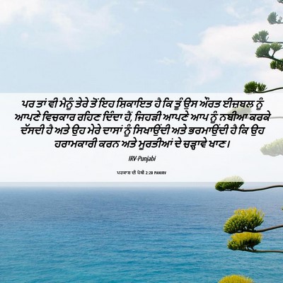 Picture 06 - ਪਰਕਾਸ਼ ਦੀ ਪੋਥੀ 2:20 PANIRV - ਪਰ ਤਾਂ ਵੀ ਮੈਨੂੰ - Bible Verse Picture