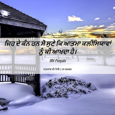 Picture 06 - ਪਰਕਾਸ਼ ਦੀ ਪੋਥੀ 2:29 PANIRV - ਜਿਹ ਦੇ ਕੰਨ ਹਨ ਸੋ - Bible Verse Picture