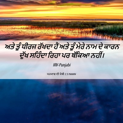 Picture 06 - ਪਰਕਾਸ਼ ਦੀ ਪੋਥੀ 2:3 PANIRV - ਅਤੇ ਤੂੰ ਧੀਰਜ ਰੱਖਦਾ - Bible Verse Picture