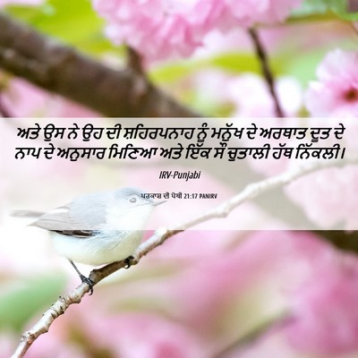 Picture 06 - ਪਰਕਾਸ਼ ਦੀ ਪੋਥੀ 21:17 PANIRV - ਅਤੇ ਉਸ ਨੇ ਉਹ ਦੀ - Bible Verse Picture