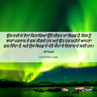Picture 06 - ਪਰਕਾਸ਼ ਦੀ ਪੋਥੀ 22:2 PANIRV - ਉਸ ਨਦੀ ਦੇ ਦੋਨਾਂ - Bible Verse Picture