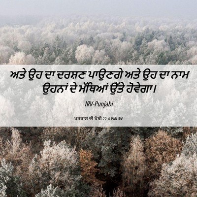Picture 06 - ਪਰਕਾਸ਼ ਦੀ ਪੋਥੀ 22:4 PANIRV - ਅਤੇ ਉਹ ਦਾ ਦਰਸ਼ਣ - Bible Verse Picture