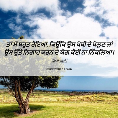 Picture 06 - ਪਰਕਾਸ਼ ਦੀ ਪੋਥੀ 5:4 PANIRV - ਤਾਂ ਮੈਂ ਬਹੁਤ ਰੋਇਆ, - Bible Verse Picture
