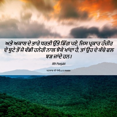 Picture 06 - ਪਰਕਾਸ਼ ਦੀ ਪੋਥੀ 6:13 PANIRV - ਅਤੇ ਅਕਾਸ਼ ਦੇ ਤਾਰੇ - Bible Verse Picture