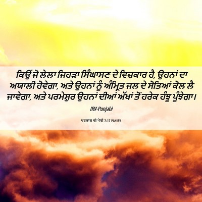 Picture 06 - ਪਰਕਾਸ਼ ਦੀ ਪੋਥੀ 7:17 PANIRV - ਕਿਉਂ ਜੋ ਲੇਲਾ ਜਿਹੜਾ - Bible Verse Picture