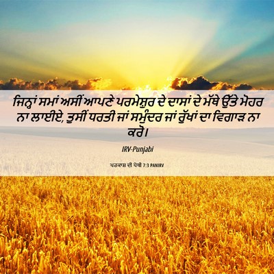 Picture 06 - ਪਰਕਾਸ਼ ਦੀ ਪੋਥੀ 7:3 PANIRV - ਜਿਨ੍ਹਾਂ ਸਮਾਂ ਅਸੀਂ - Bible Verse Picture