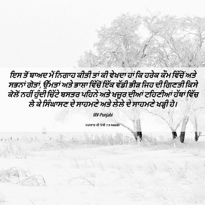 Picture 06 - ਪਰਕਾਸ਼ ਦੀ ਪੋਥੀ 7:9 PANIRV - ਇਸ ਤੋਂ ਬਾਅਦ ਮੈਂ - Bible Verse Picture