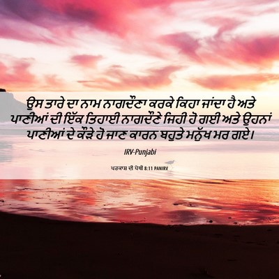 Picture 06 - ਪਰਕਾਸ਼ ਦੀ ਪੋਥੀ 8:11 PANIRV - ਉਸ ਤਾਰੇ ਦਾ ਨਾਮ - Bible Verse Picture