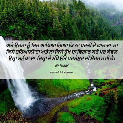 Picture 06 - ਪਰਕਾਸ਼ ਦੀ ਪੋਥੀ 9:4 PANIRV - ਅਤੇ ਉਹਨਾਂ ਨੂੰ ਇਹ - Bible Verse Picture