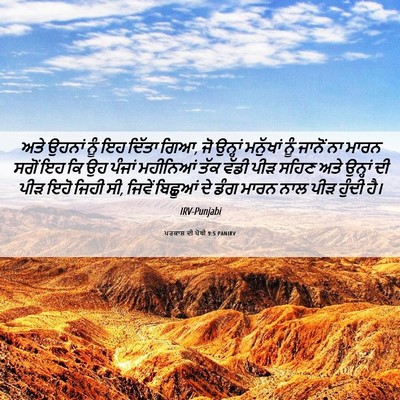 Picture 06 - ਪਰਕਾਸ਼ ਦੀ ਪੋਥੀ 9:5 PANIRV - ਅਤੇ ਉਹਨਾਂ ਨੂੰ ਇਹ - Bible Verse Picture
