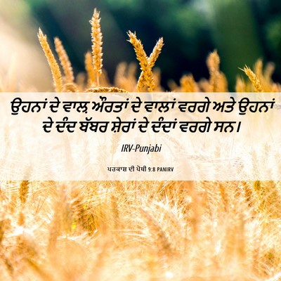 Picture 06 - ਪਰਕਾਸ਼ ਦੀ ਪੋਥੀ 9:8 PANIRV - ਉਹਨਾਂ ਦੇ ਵਾਲ਼ - Bible Verse Picture