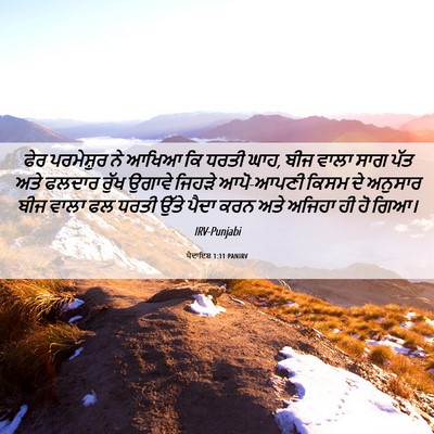 Picture 06 - ਪੈਦਾਇਸ਼ 1:11 PANIRV - ਫੇਰ ਪਰਮੇਸ਼ੁਰ ਨੇ - Bible Verse Picture
