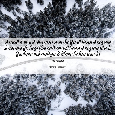 Picture 06 - ਪੈਦਾਇਸ਼ 1:12 PANIRV - ਸੋ ਧਰਤੀ ਨੇ ਘਾਹ ਤੇ - Bible Verse Picture
