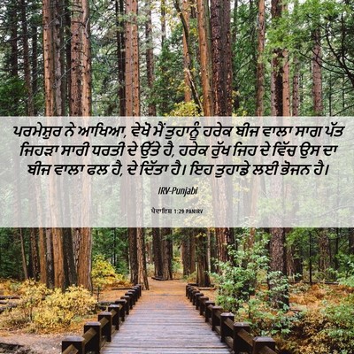 Picture 06 - ਪੈਦਾਇਸ਼ 1:29 PANIRV - ਪਰਮੇਸ਼ੁਰ ਨੇ ਆਖਿਆ, - Bible Verse Picture