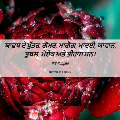 Picture 06 - ਪੈਦਾਇਸ਼ 10:2 PANIRV - ਯਾਫ਼ਥ ਦੇ ਪੁੱਤਰ: - Bible Verse Picture