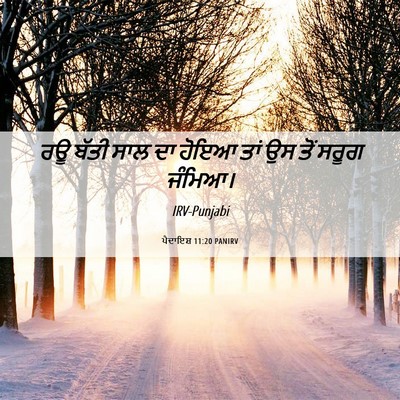 Picture 06 - ਪੈਦਾਇਸ਼ 11:20 PANIRV - ਰਊ ਬੱਤੀ ਸਾਲ ਦਾ ਹੋਇਆ - Bible Verse Picture
