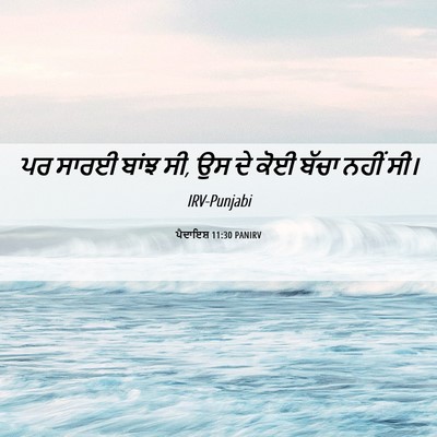 Picture 06 - ਪੈਦਾਇਸ਼ 11:30 PANIRV - ਪਰ ਸਾਰਈ ਬਾਂਝ ਸੀ, ਉਸ - Bible Verse Picture