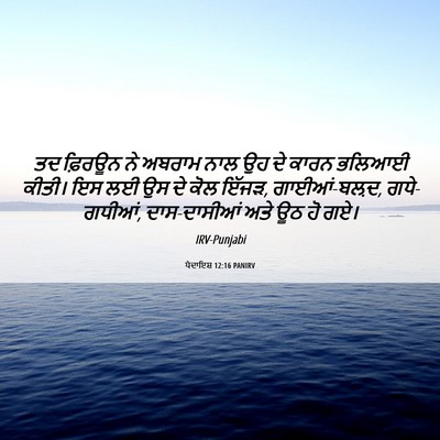 Picture 06 - ਪੈਦਾਇਸ਼ 12:16 PANIRV - ਤਦ ਫ਼ਿਰਊਨ ਨੇ ਅਬਰਾਮ - Bible Verse Picture