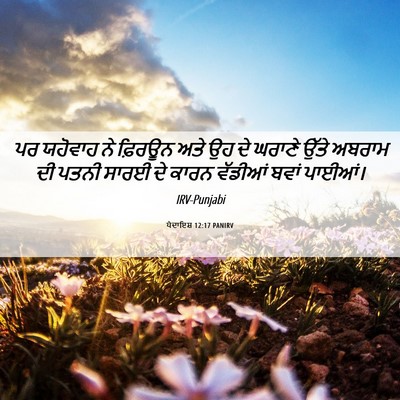 Picture 06 - ਪੈਦਾਇਸ਼ 12:17 PANIRV - ਪਰ ਯਹੋਵਾਹ ਨੇ - Bible Verse Picture