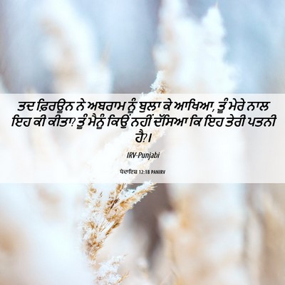 Picture 06 - ਪੈਦਾਇਸ਼ 12:18 PANIRV - ਤਦ ਫ਼ਿਰਊਨ ਨੇ ਅਬਰਾਮ - Bible Verse Picture
