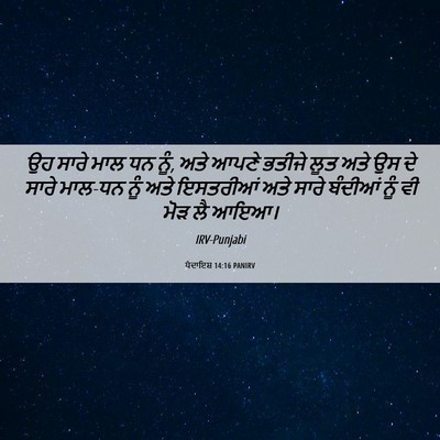 Picture 06 - ਪੈਦਾਇਸ਼ 14:16 PANIRV - ਉਹ ਸਾਰੇ ਮਾਲ ਧਨ ਨੂੰ, - Bible Verse Picture