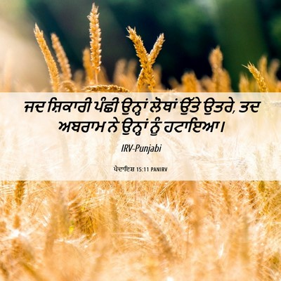Picture 06 - ਪੈਦਾਇਸ਼ 15:11 PANIRV - ਜਦ ਸ਼ਿਕਾਰੀ ਪੰਛੀ - Bible Verse Picture