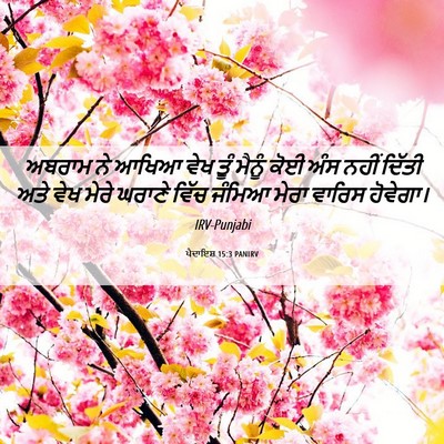 Picture 06 - ਪੈਦਾਇਸ਼ 15:3 PANIRV - ਅਬਰਾਮ ਨੇ ਆਖਿਆ ਵੇਖ - Bible Verse Picture