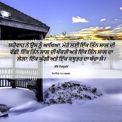 Picture 06 - ਪੈਦਾਇਸ਼ 15:9 PANIRV - ਯਹੋਵਾਹ ਨੇ ਉਸ ਨੂੰ - Bible Verse Picture