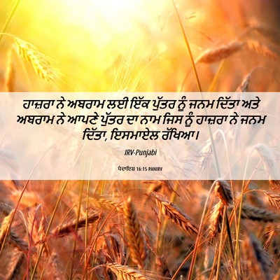 Picture 06 - ਪੈਦਾਇਸ਼ 16:15 PANIRV - ਹਾਜ਼ਰਾ ਨੇ ਅਬਰਾਮ ਲਈ - Bible Verse Picture