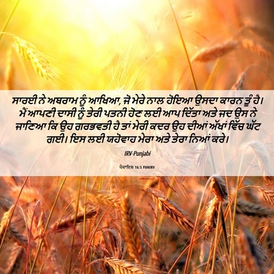 Picture 06 - ਪੈਦਾਇਸ਼ 16:5 PANIRV - ਸਾਰਈ ਨੇ ਅਬਰਾਮ ਨੂੰ - Bible Verse Picture