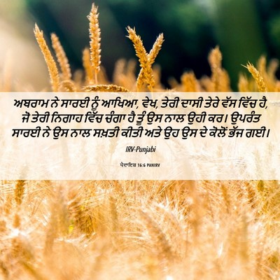 Picture 06 - ਪੈਦਾਇਸ਼ 16:6 PANIRV - ਅਬਰਾਮ ਨੇ ਸਾਰਈ ਨੂੰ - Bible Verse Picture