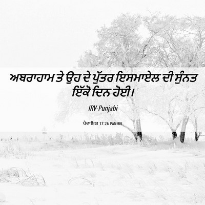 Picture 06 - ਪੈਦਾਇਸ਼ 17:26 PANIRV - ਅਬਰਾਹਾਮ ਤੇ ਉਹ ਦੇ - Bible Verse Picture