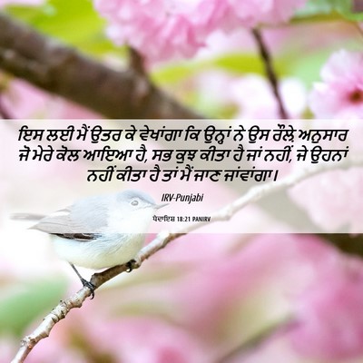Picture 06 - ਪੈਦਾਇਸ਼ 18:21 PANIRV - ਇਸ ਲਈ ਮੈਂ ਉਤਰ ਕੇ - Bible Verse Picture