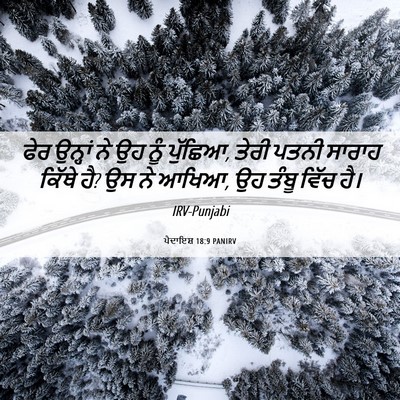 Picture 06 - ਪੈਦਾਇਸ਼ 18:9 PANIRV - ਫੇਰ ਉਨ੍ਹਾਂ ਨੇ ਉਹ - Bible Verse Picture