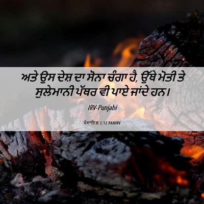 Picture 06 - ਪੈਦਾਇਸ਼ 2:12 PANIRV - ਅਤੇ ਉਸ ਦੇਸ਼ ਦਾ ਸੋਨਾ - Bible Verse Picture