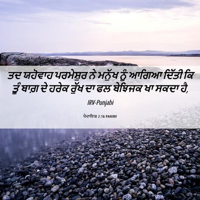 Picture 06 - ਪੈਦਾਇਸ਼ 2:16 PANIRV - ਤਦ ਯਹੋਵਾਹ - Bible Verse Picture