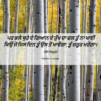 Picture 06 - ਪੈਦਾਇਸ਼ 2:17 PANIRV - ਪਰ ਭਲੇ ਬੁਰੇ ਦੇ ਗਿਆਨ - Bible Verse Picture