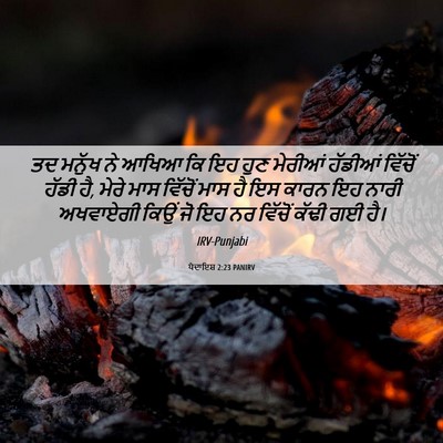Picture 06 - ਪੈਦਾਇਸ਼ 2:23 PANIRV - ਤਦ ਮਨੁੱਖ ਨੇ ਆਖਿਆ ਕਿ - Bible Verse Picture