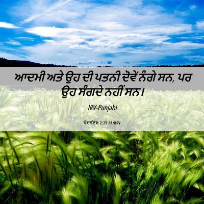 Picture 06 - ਪੈਦਾਇਸ਼ 2:25 PANIRV - ਆਦਮੀ ਅਤੇ ਉਹ ਦੀ ਪਤਨੀ - Bible Verse Picture