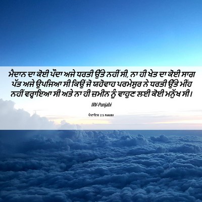Picture 06 - ਪੈਦਾਇਸ਼ 2:5 PANIRV - ਮੈਦਾਨ ਦਾ ਕੋਈ ਪੌਦਾ - Bible Verse Picture