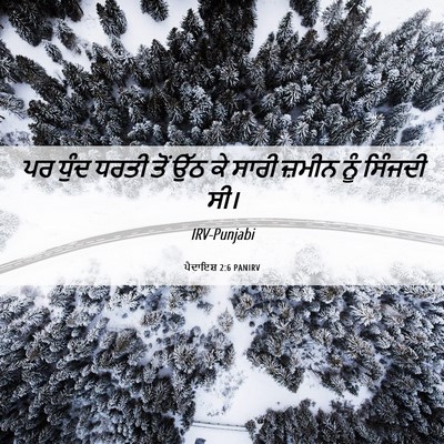 Picture 06 - ਪੈਦਾਇਸ਼ 2:6 PANIRV - ਪਰ ਧੁੰਦ ਧਰਤੀ ਤੋਂ - Bible Verse Picture