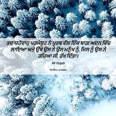 Picture 06 - ਪੈਦਾਇਸ਼ 2:8 PANIRV - ਤਦ ਯਹੋਵਾਹ - Bible Verse Picture