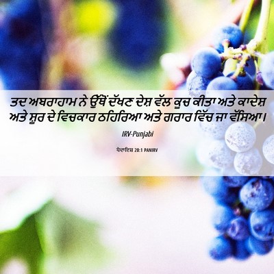 Picture 06 - ਪੈਦਾਇਸ਼ 20:1 PANIRV - ਤਦ ਅਬਰਾਹਾਮ ਨੇ - Bible Verse Picture