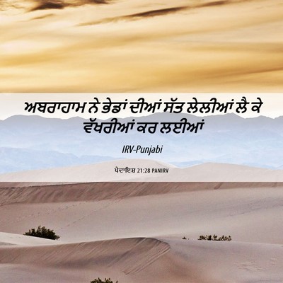 Picture 06 - ਪੈਦਾਇਸ਼ 21:28 PANIRV - ਅਬਰਾਹਾਮ ਨੇ ਭੇਡਾਂ - Bible Verse Picture