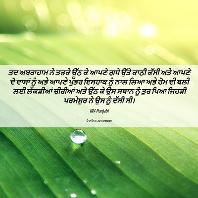 Picture 06 - ਪੈਦਾਇਸ਼ 22:3 PANIRV - ਤਦ ਅਬਰਾਹਾਮ ਨੇ ਤੜਕੇ - Bible Verse Picture