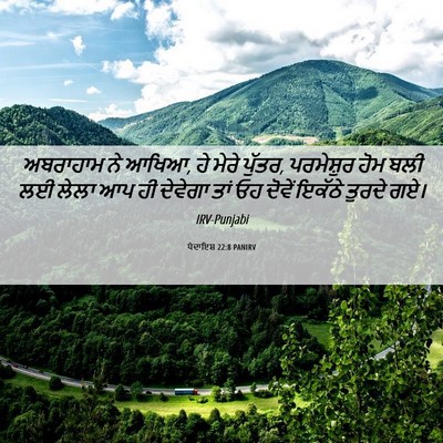 Picture 06 - ਪੈਦਾਇਸ਼ 22:8 PANIRV - ਅਬਰਾਹਾਮ ਨੇ ਆਖਿਆ, ਹੇ - Bible Verse Picture
