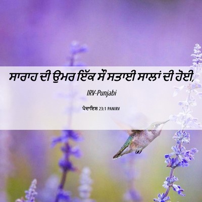 Picture 06 - ਪੈਦਾਇਸ਼ 23:1 PANIRV - ਸਾਰਾਹ ਦੀ ਉਮਰ ਇੱਕ ਸੌ - Bible Verse Picture